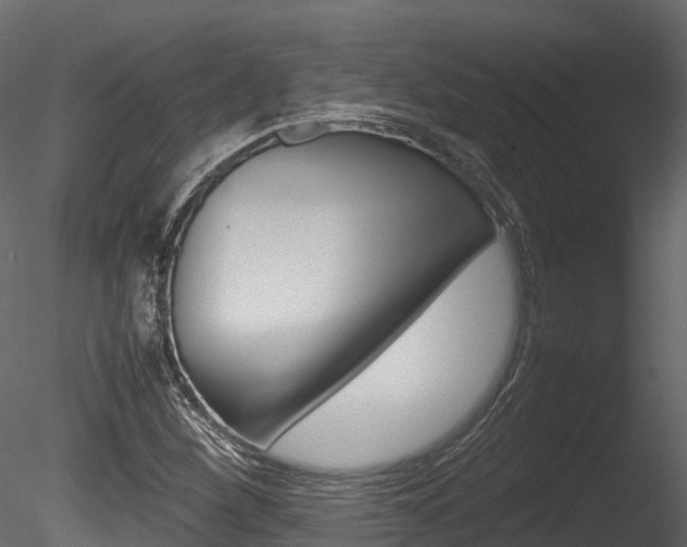 X0000085731260200703160827