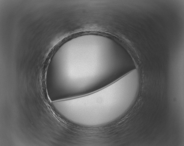 X0000085731264200703160827