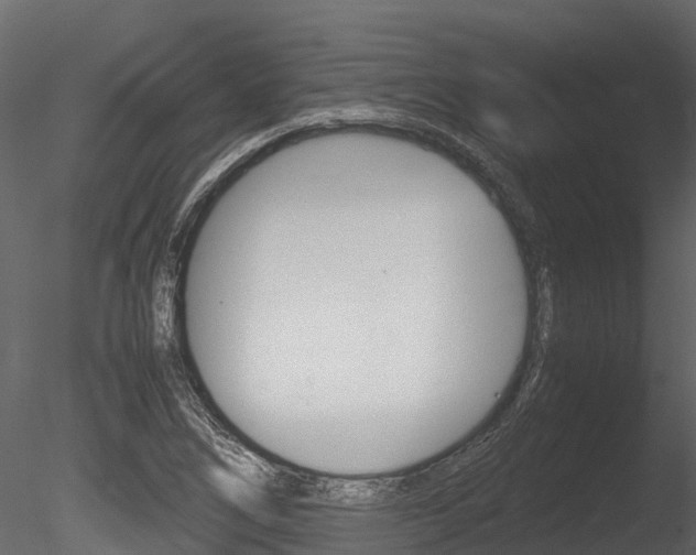 X0000085731266200703160827
