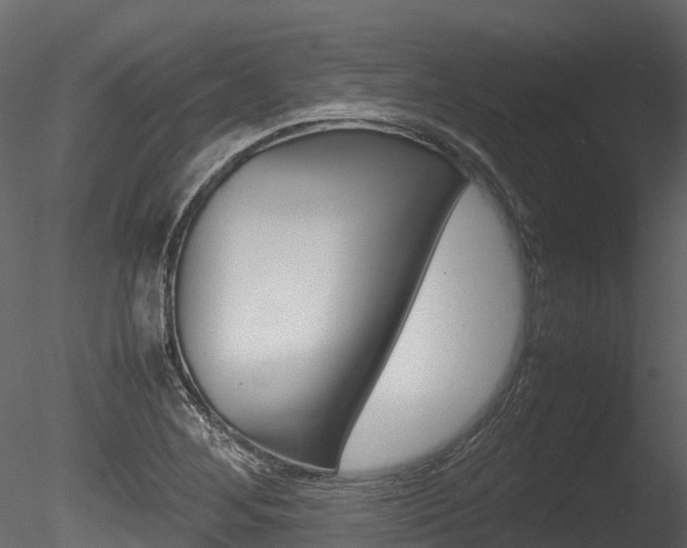 X0000085731268200703160827