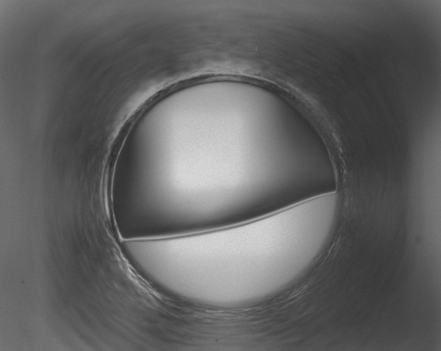 X0000085731272200703160827