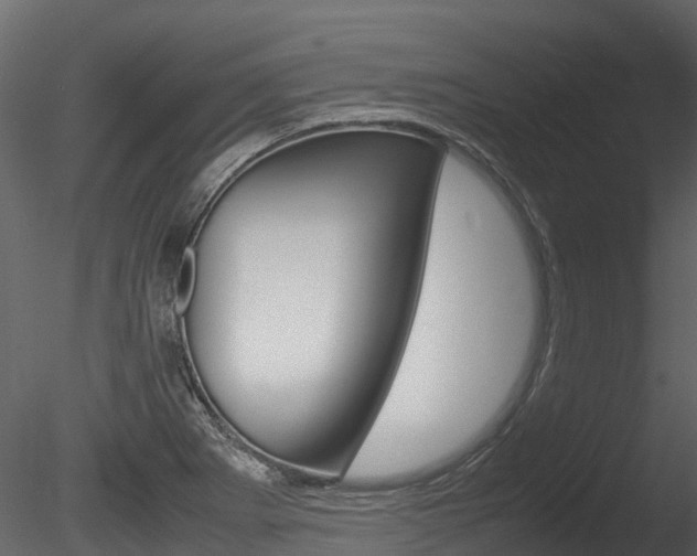 X0000085731273200703160827