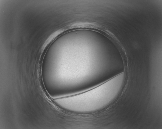 X0000085731277200703160827