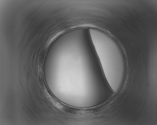 X0000085731281200703160827
