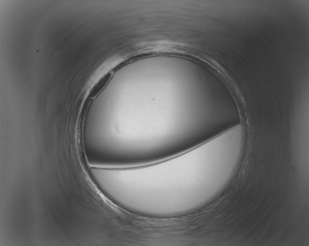X0000085731285200703160827