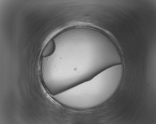 X0000085731287200703160827