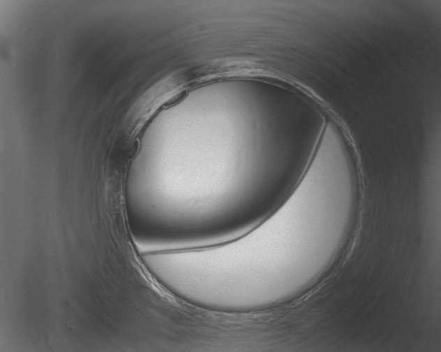 X0000085731289200703160826