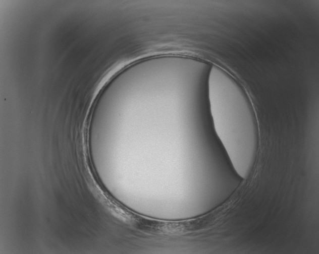 X0000085731291200703160826