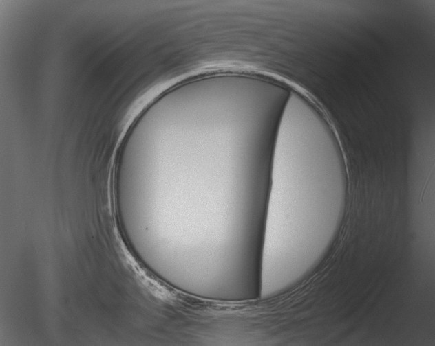 X0000085731295200703160826
