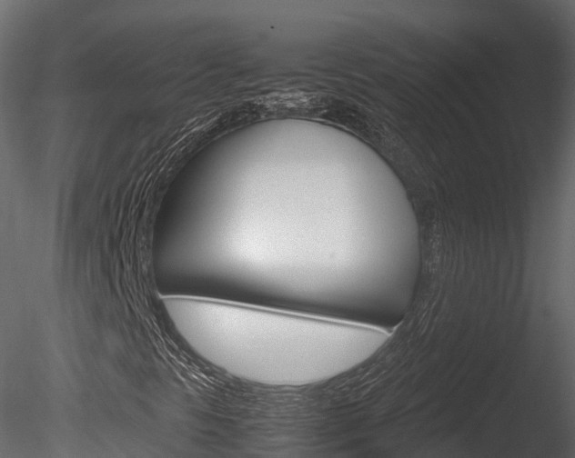 X0000085731297200703160826