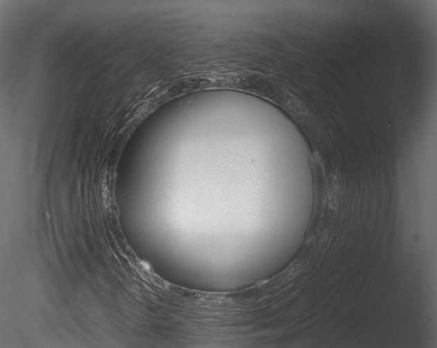X0000085731298200703160826