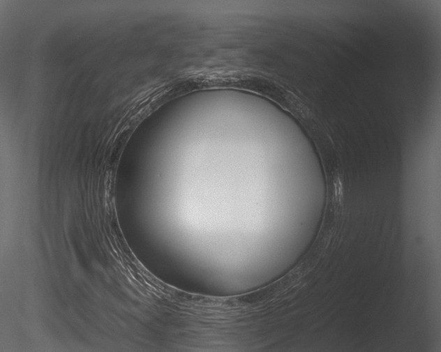 X0000085731300200703160826