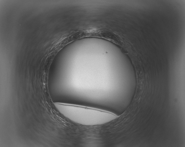 X0000085731301200703160826