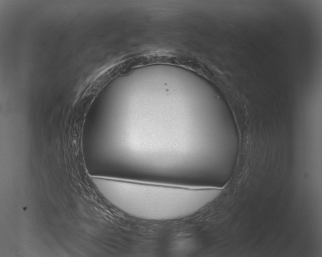 X0000085731303200703160826