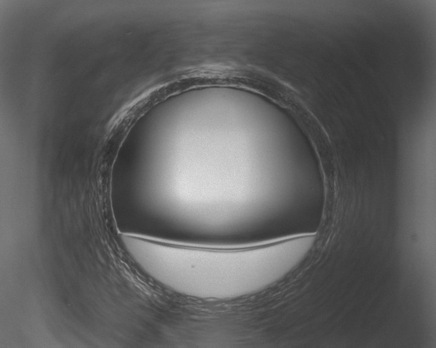 X0000085731304200703160826