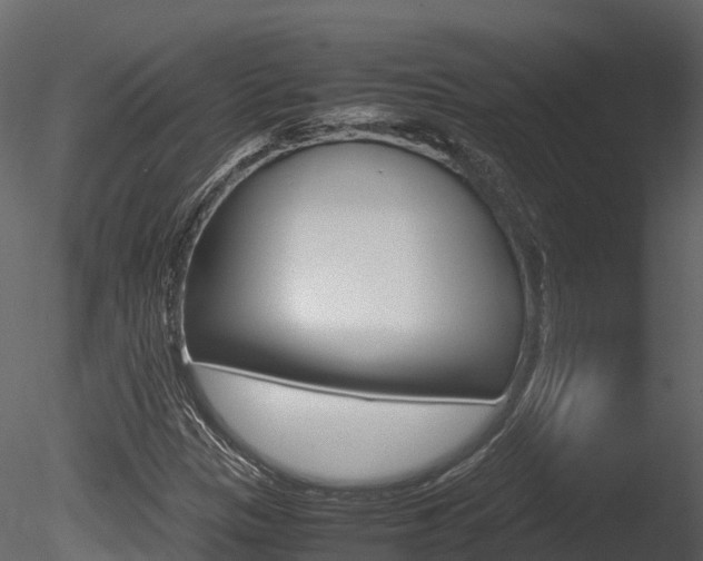 X0000085731305200703160826