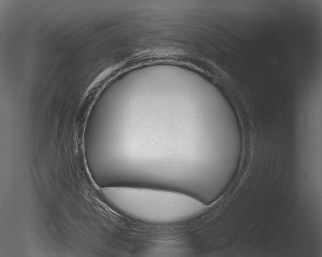 X0000085731306200703160826