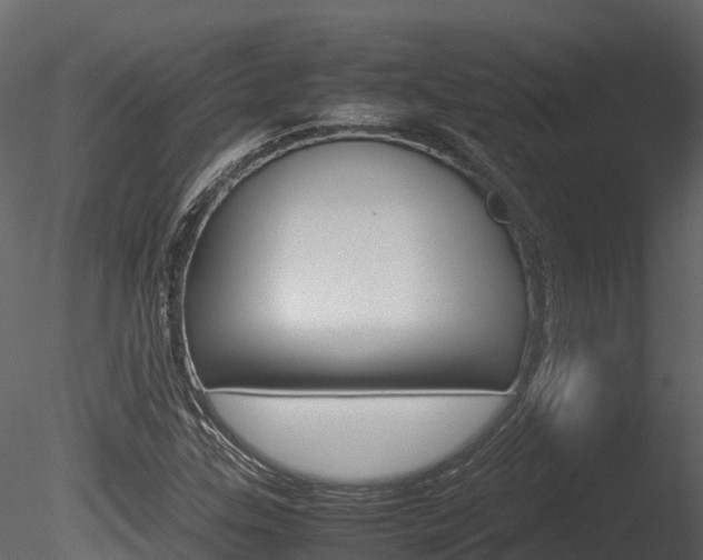 X0000085731307200703160826