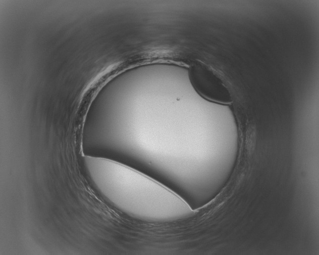 X0000085731309200703160826