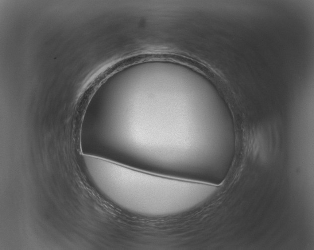 X0000085731311200703160826