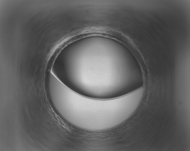 X0000085731312200703160826