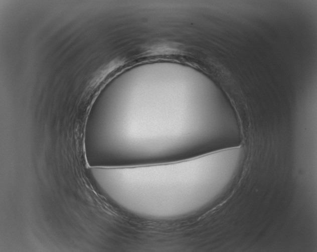 X0000085731313200703160826