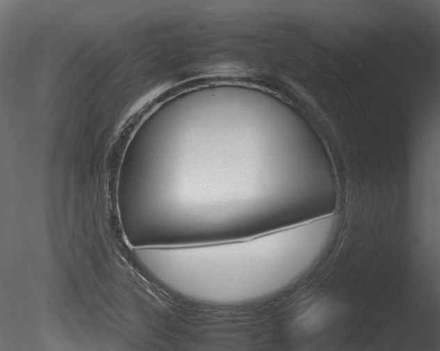 X0000085731315200703160826
