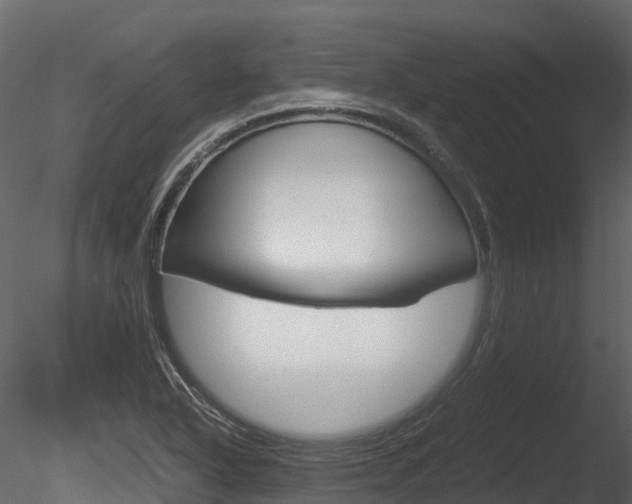 X0000085731318200703160826