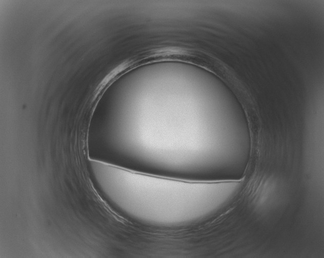 X0000085731321200703160826