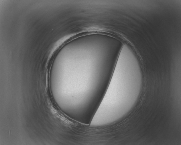 X0000085731323200703160826