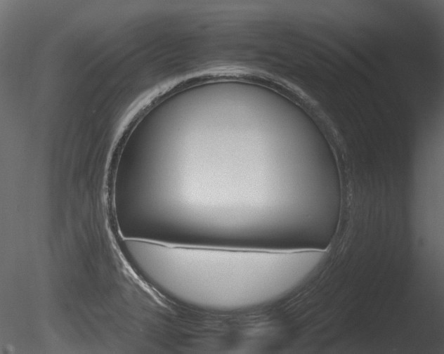 X0000085731327200703160826