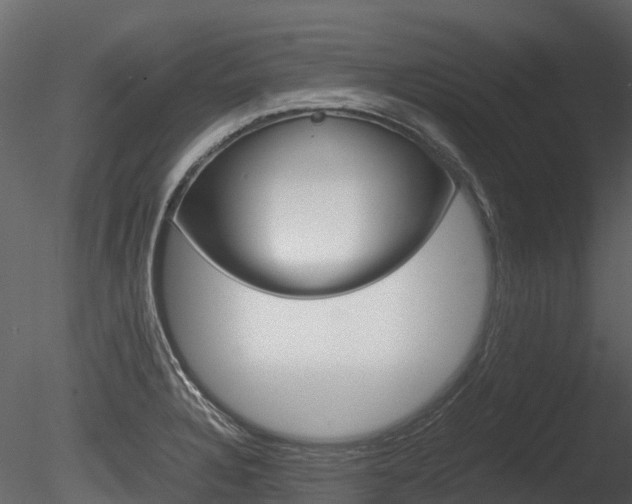 X0000085731328200703160826
