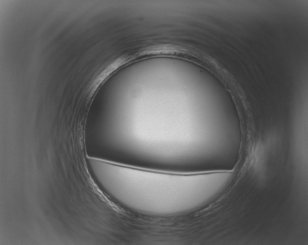 X0000085731329200703160826
