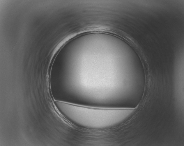 X0000085731332200703160826