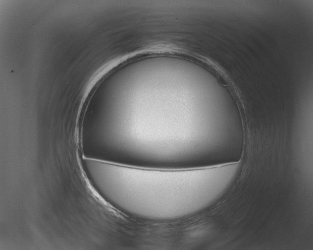 X0000085731335200703160826