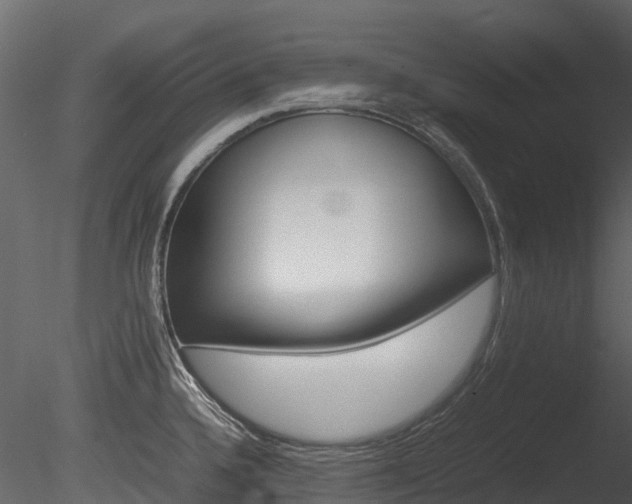 X0000085731336200703160826
