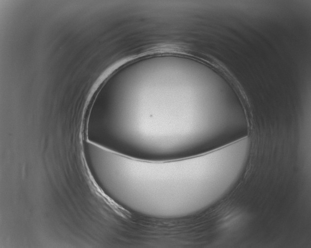 X0000085731339200703160826
