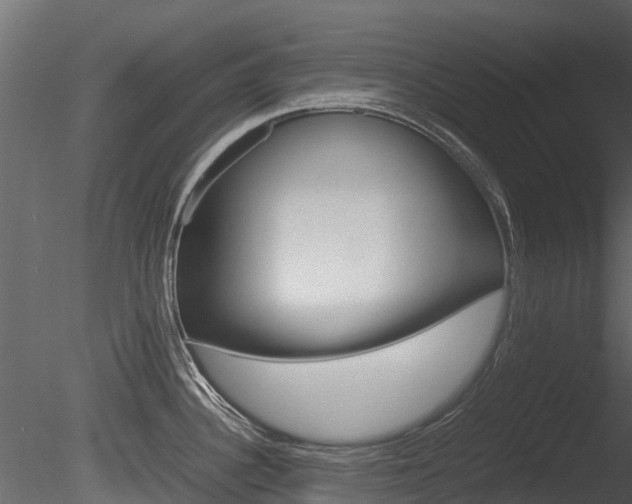 X0000085731340200703160826