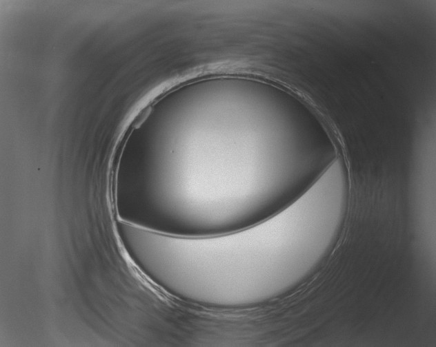 X0000085731342200703160826
