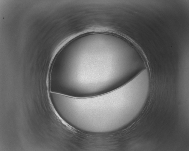 X0000085731343200703160826