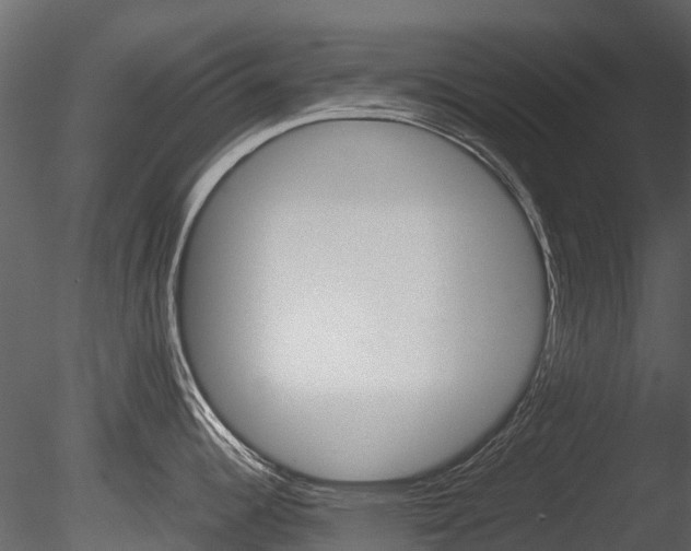 X0000085731344200703160826