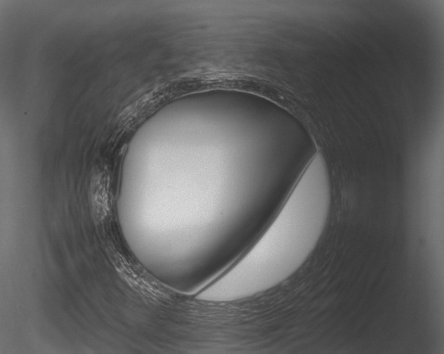 X0000085731348200703160825