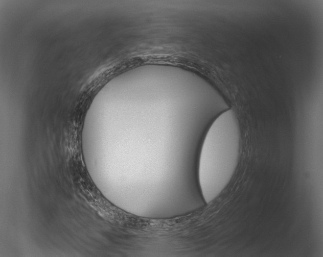 X0000085731350200703160825
