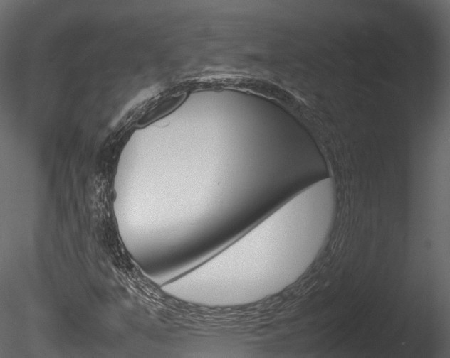 X0000085731351200703160825