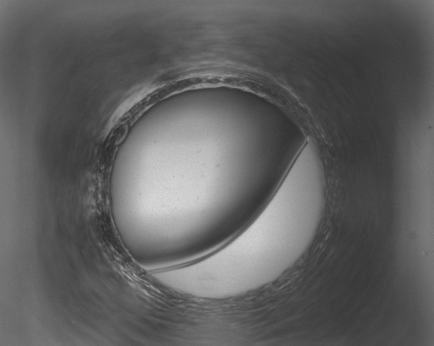 X0000085731352200703160825