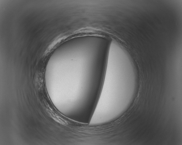 X0000085731355200703160825