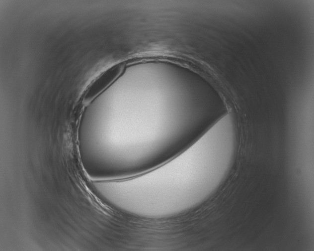 X0000085731356200703160825