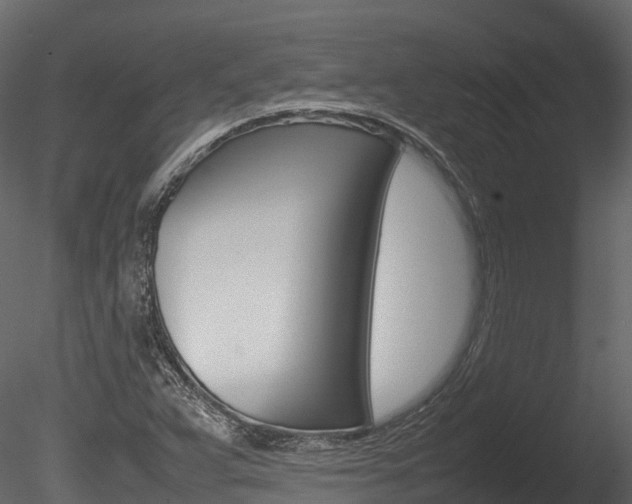 X0000085731359200703160825