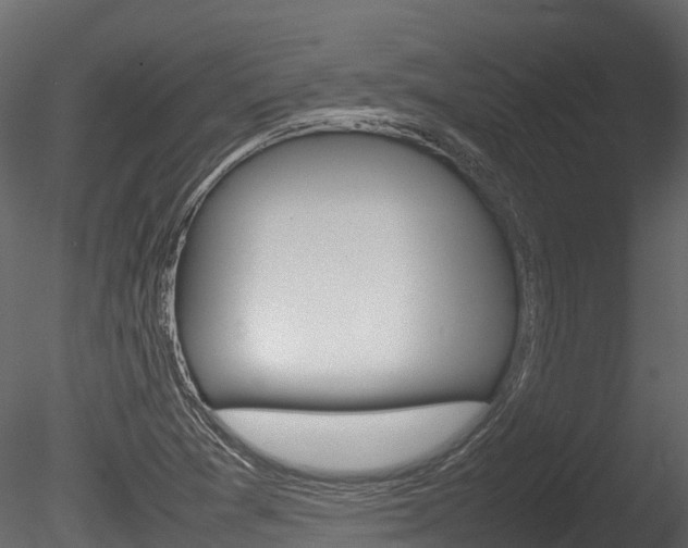 X0000085731361200703160825