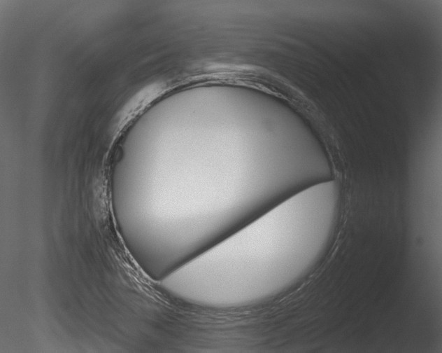 X0000085731362200703160825